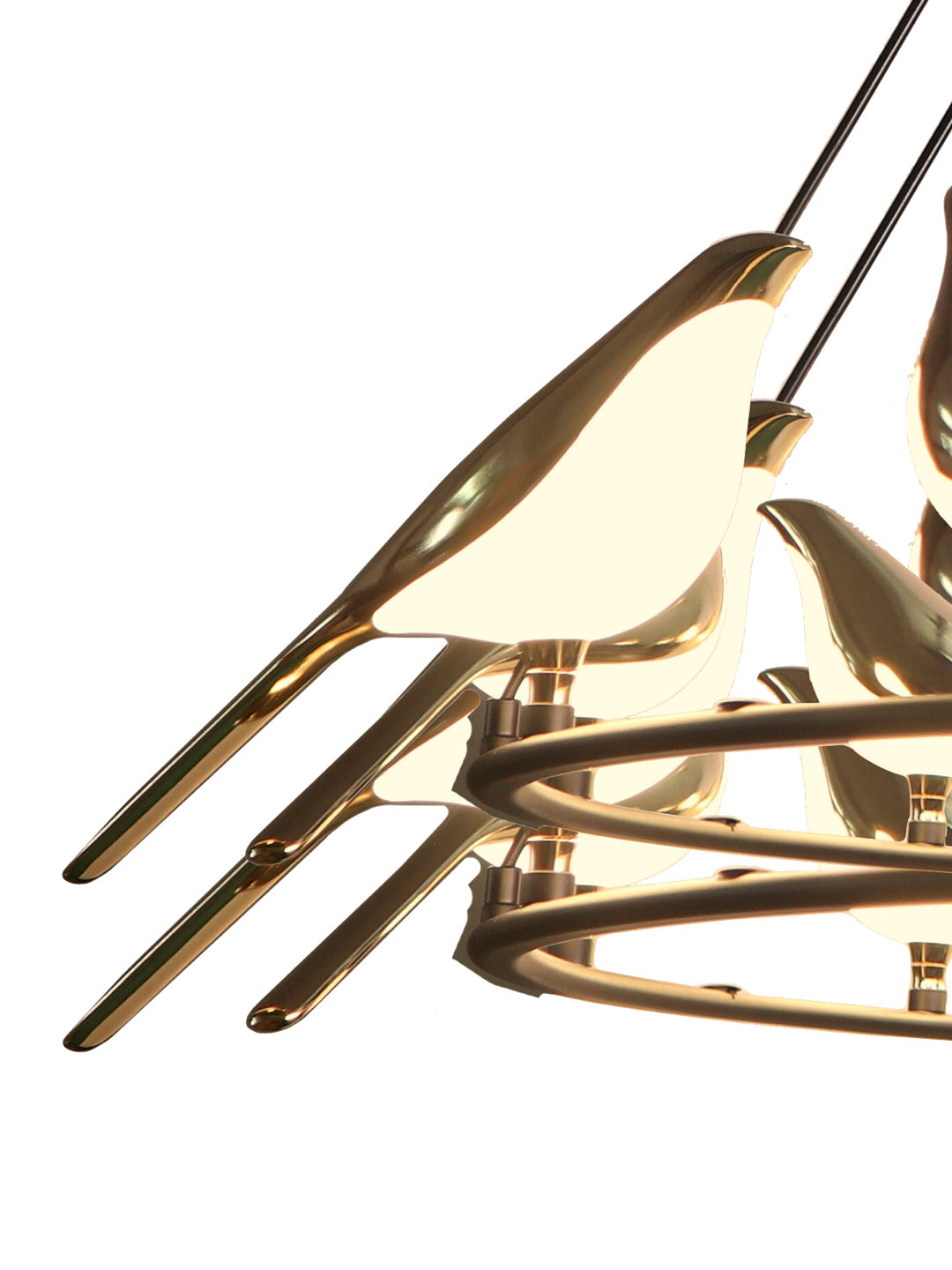 Product Image-4