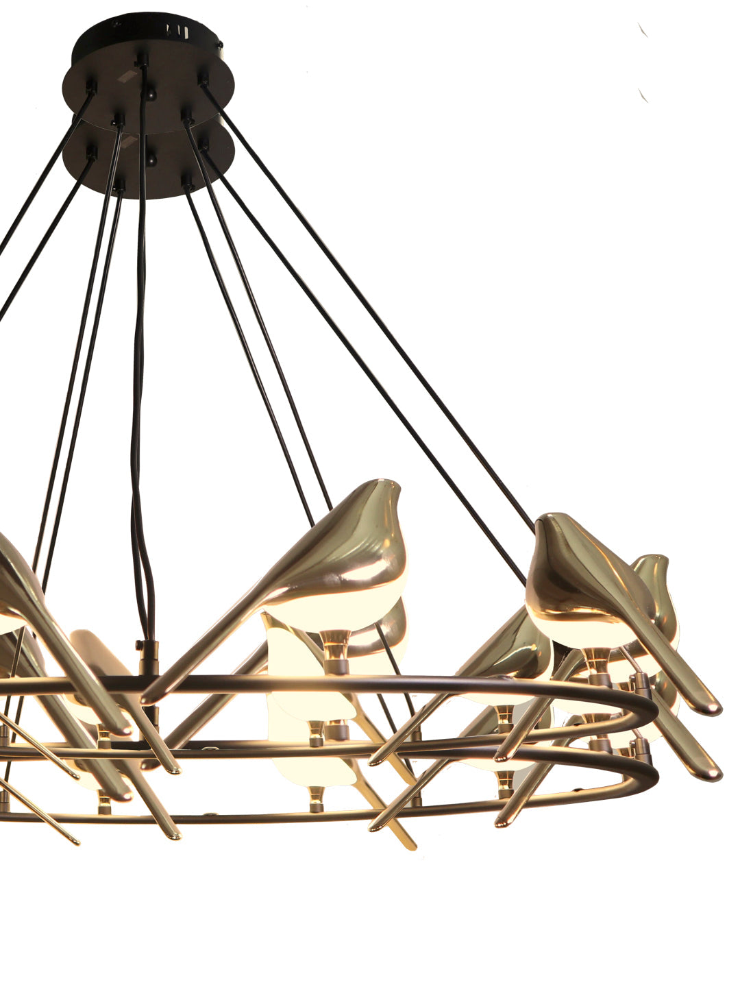 Product Image-2
