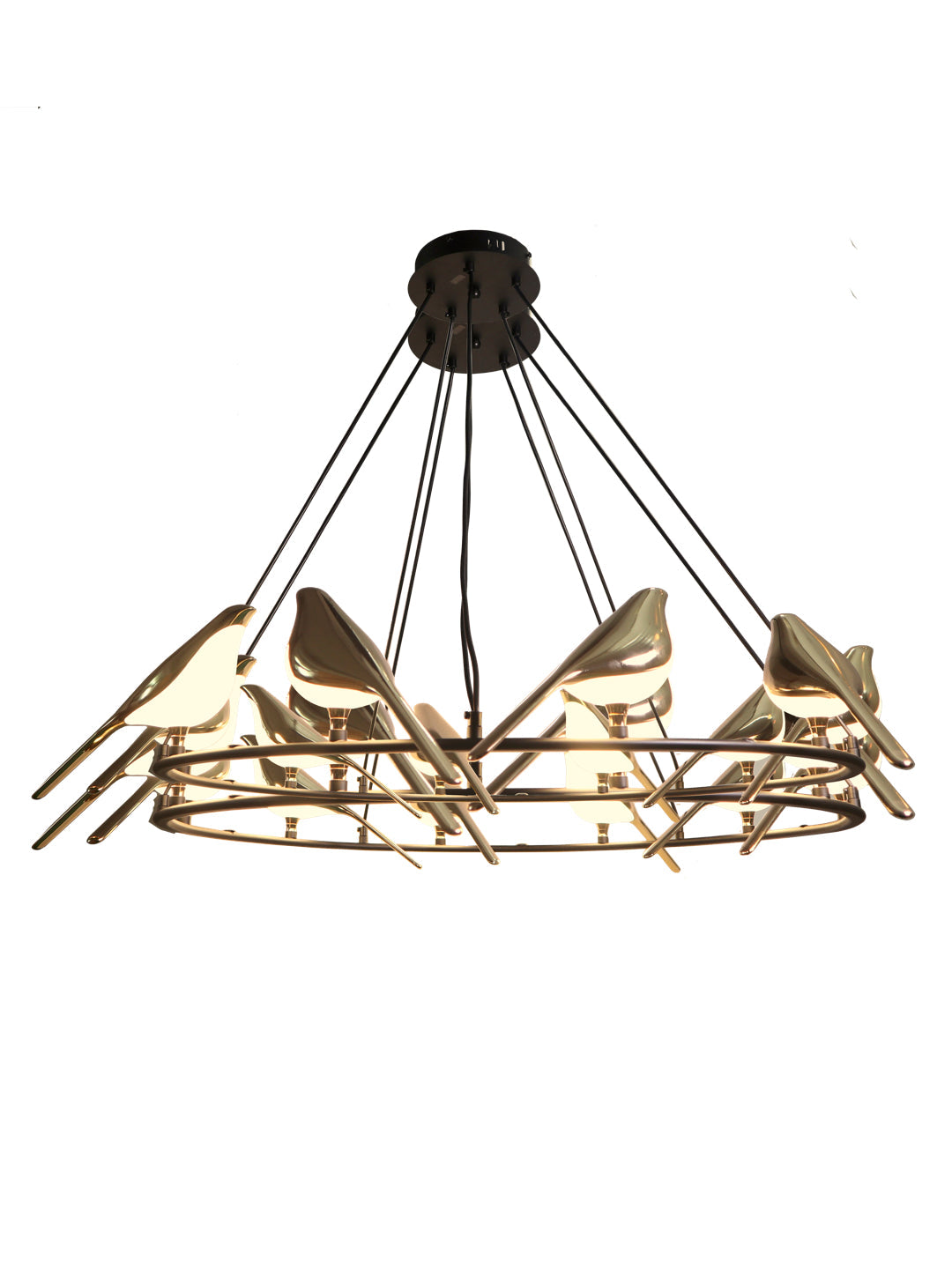 Product Image-0