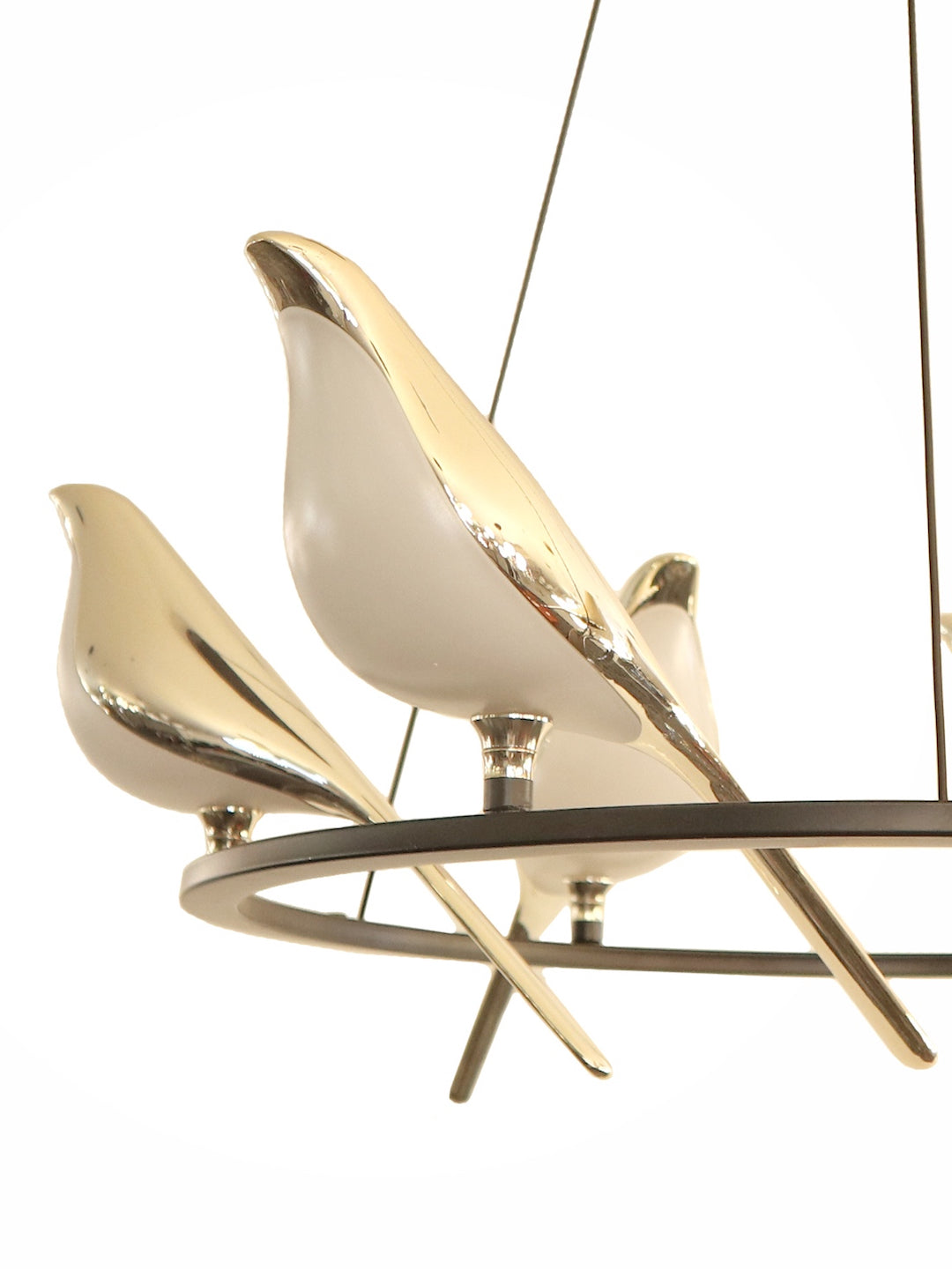 Product Image-3