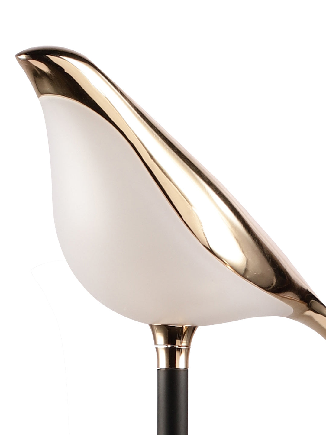 Product Image-4