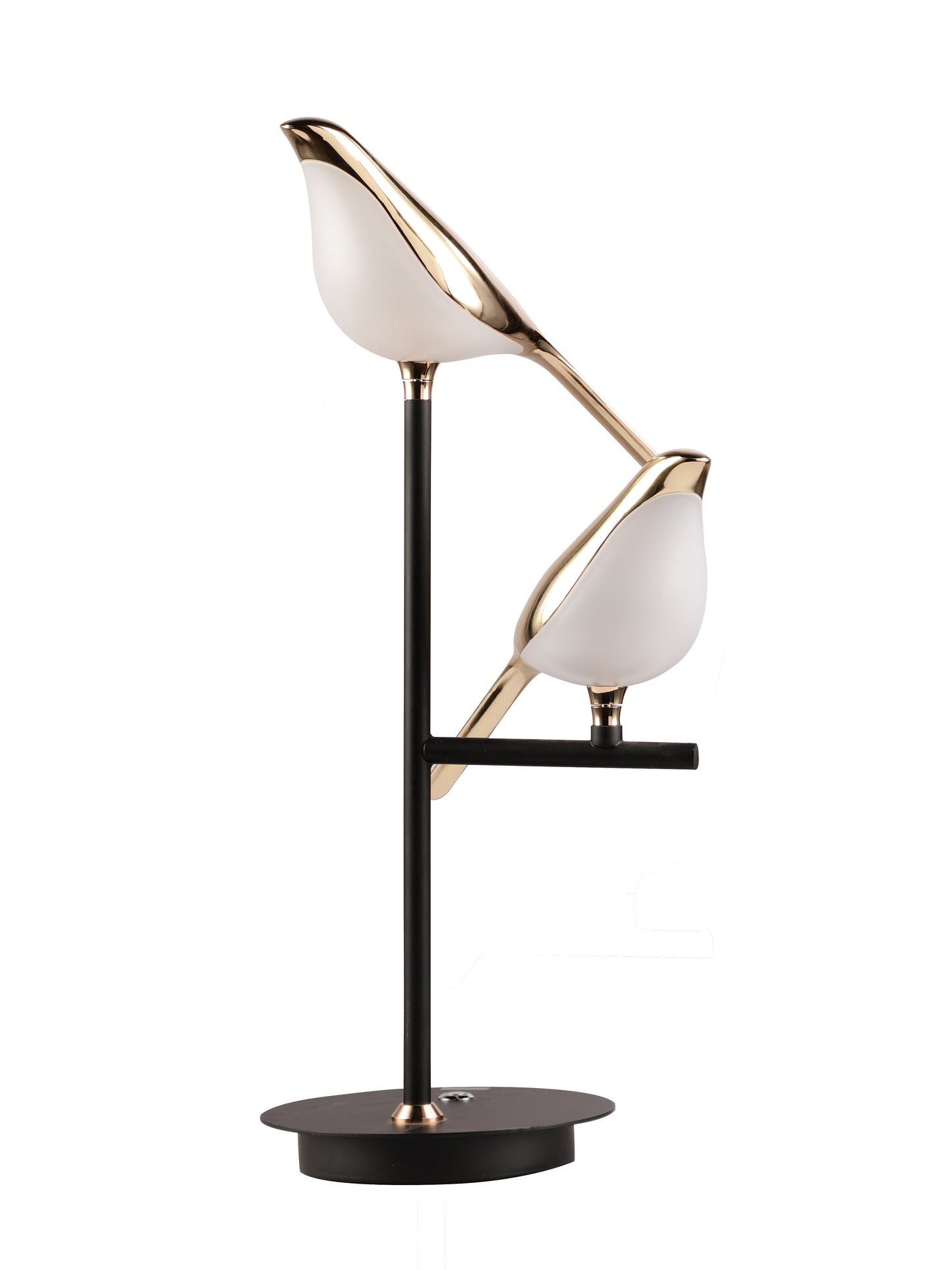 Product Image-2
