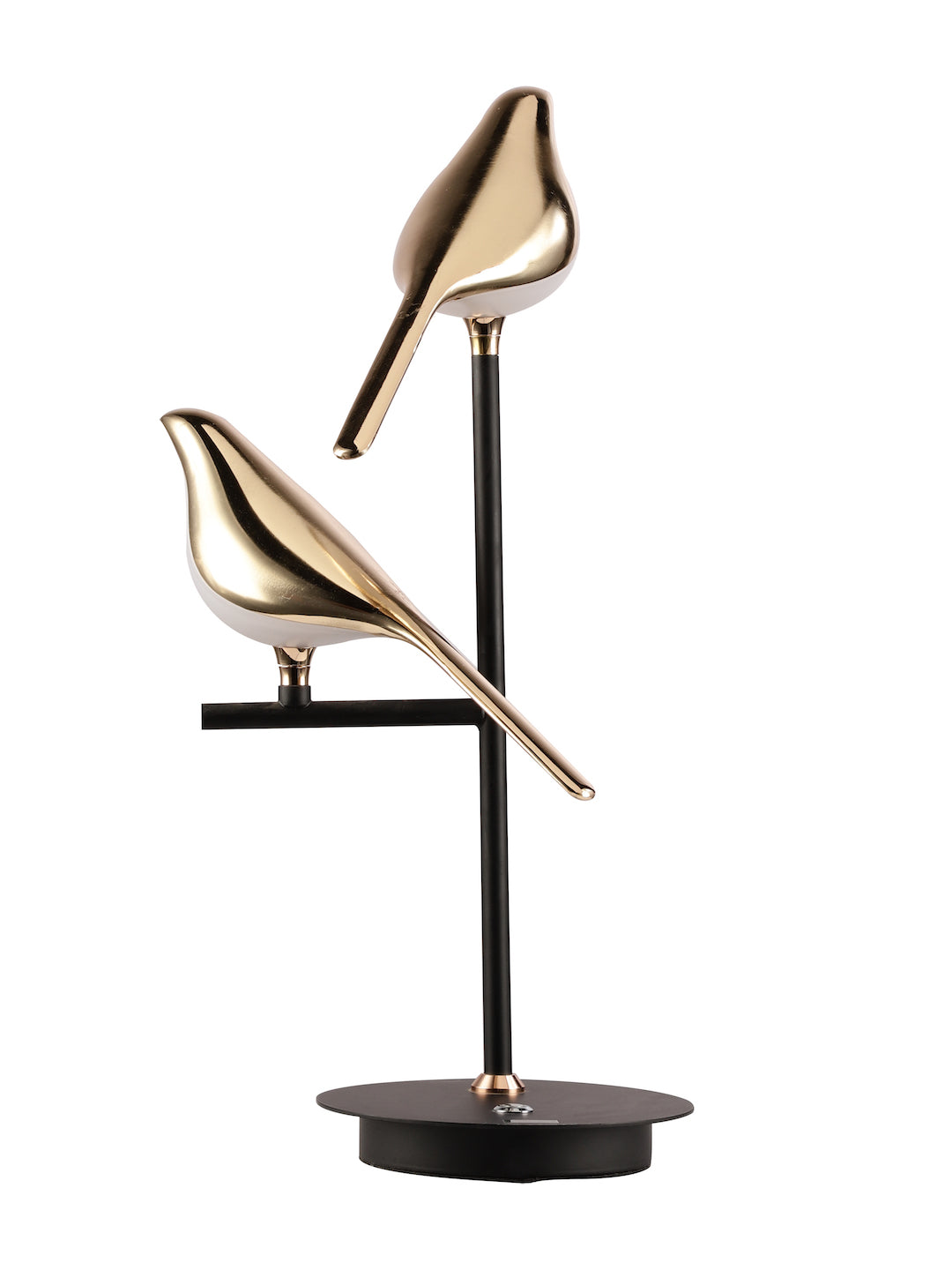 Product Image-3
