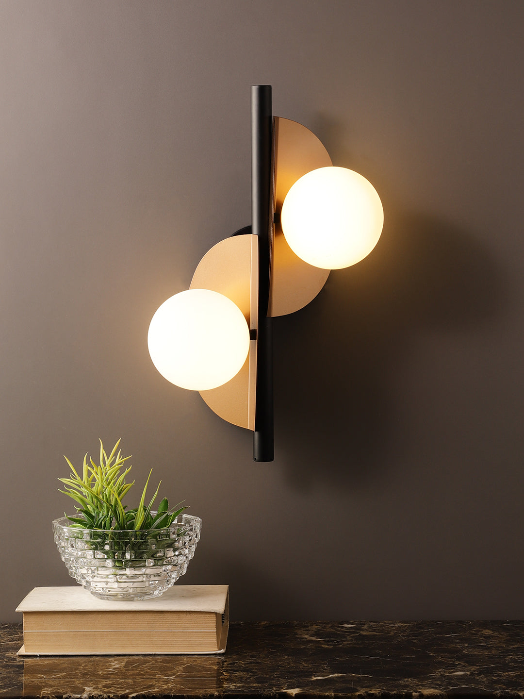 Product Image-2