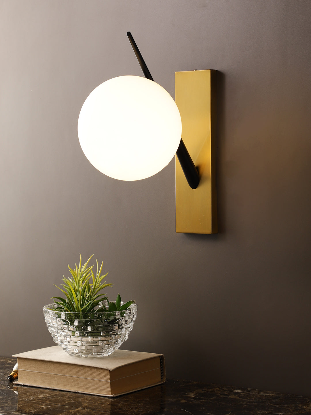 Product Image-2
