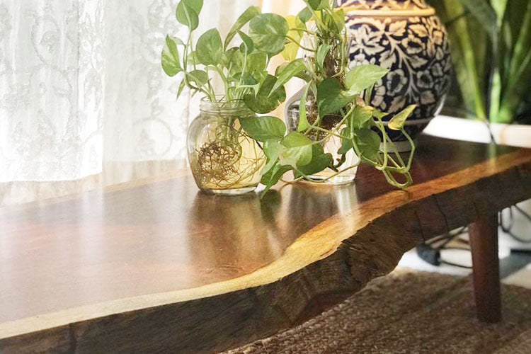 Natura Display Table-Rosewood