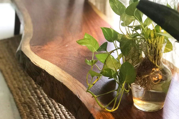 Natura Display Table-Rosewood