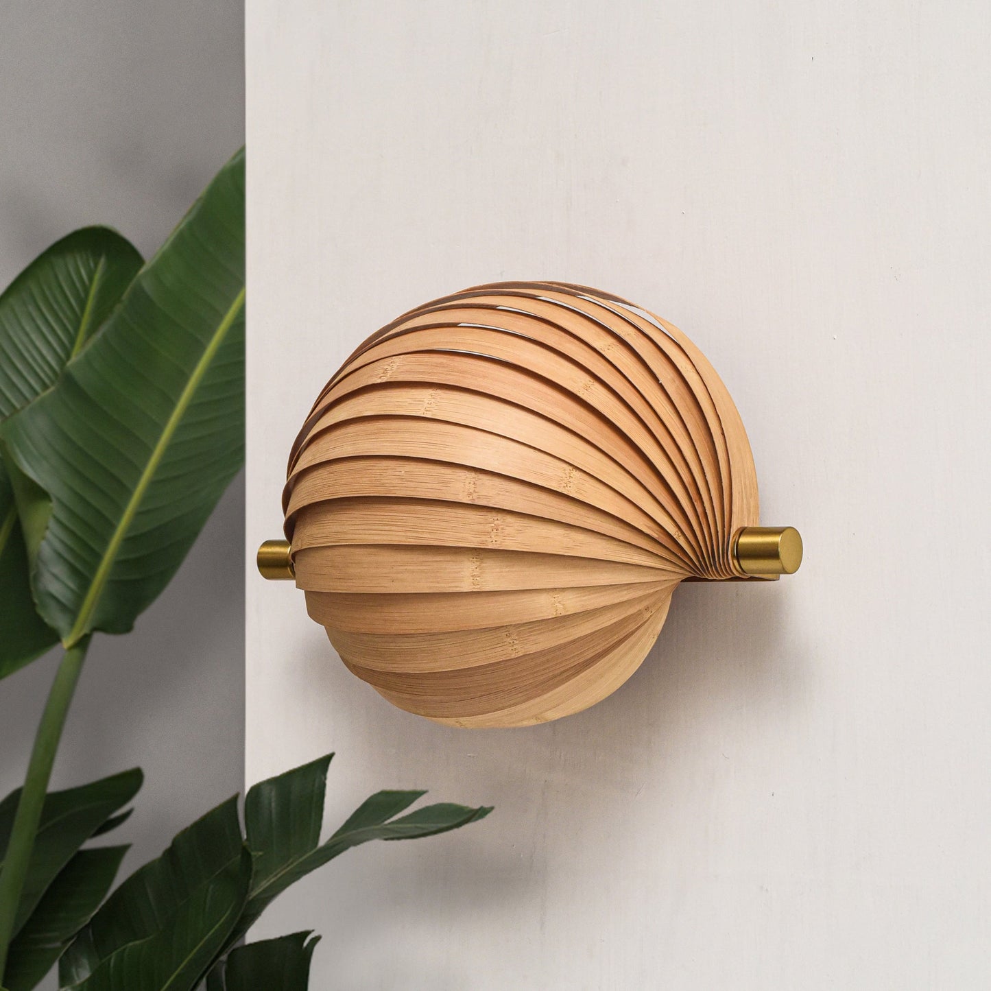 Product Image-3