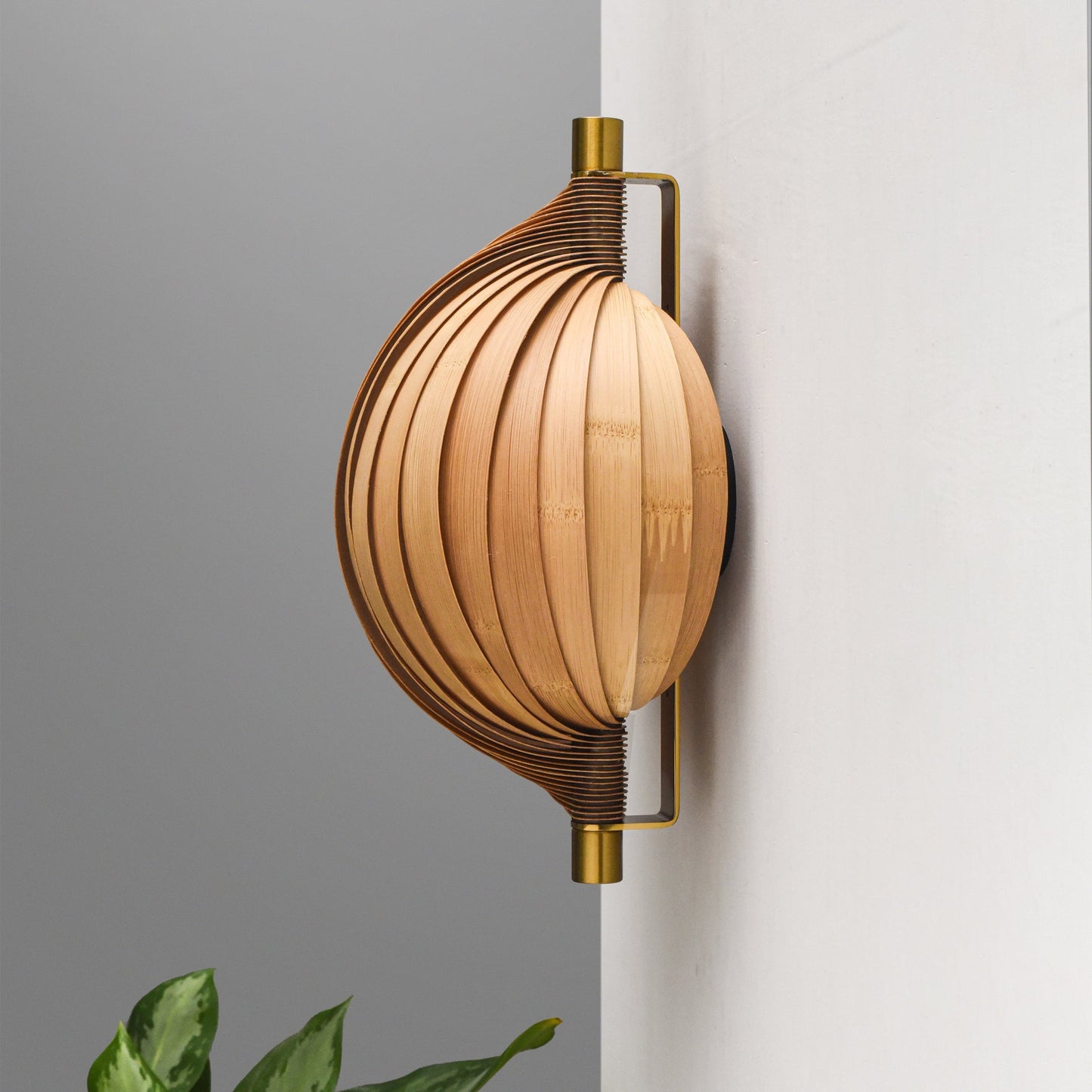 Product Image-4
