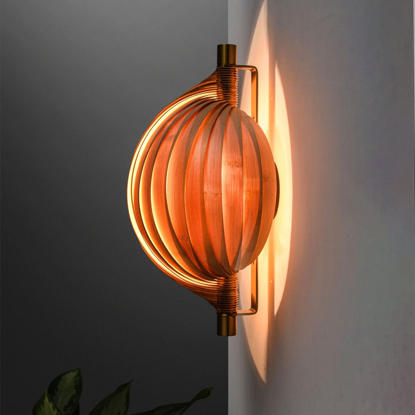 Product Image-6