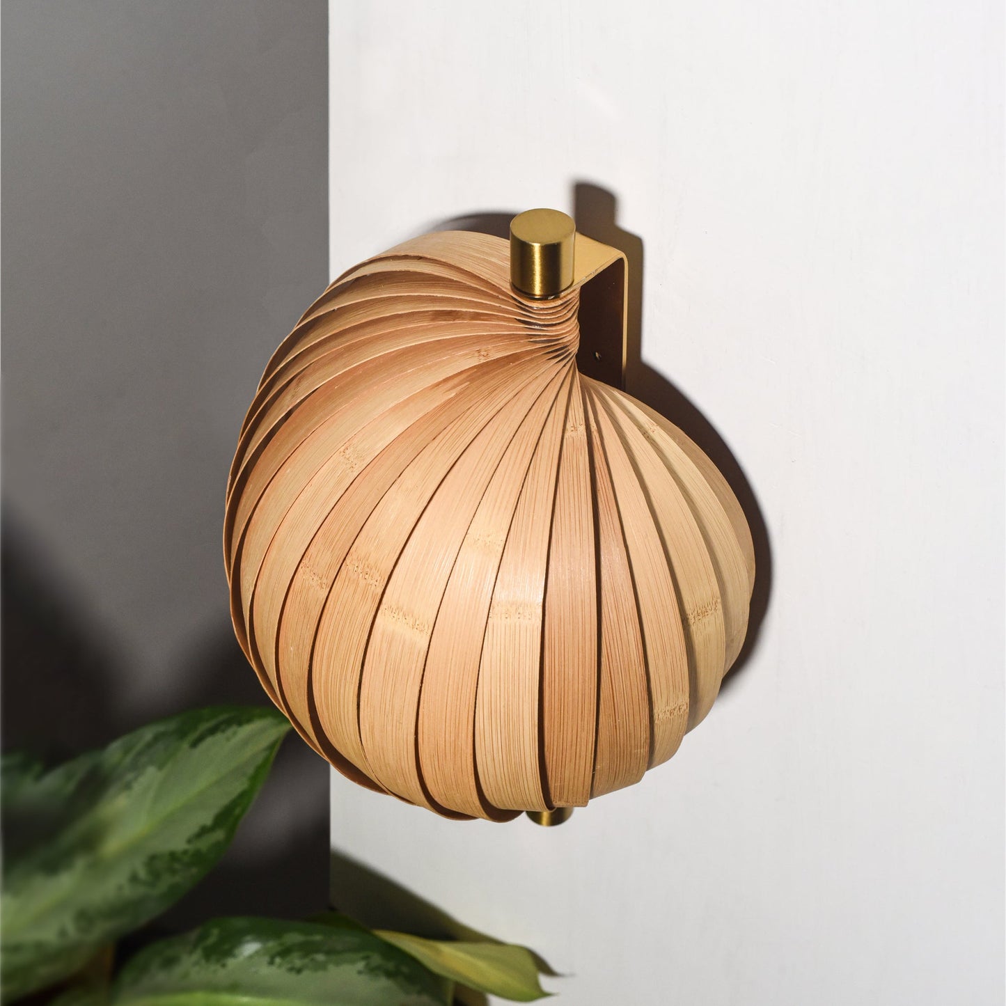 Product Image-5