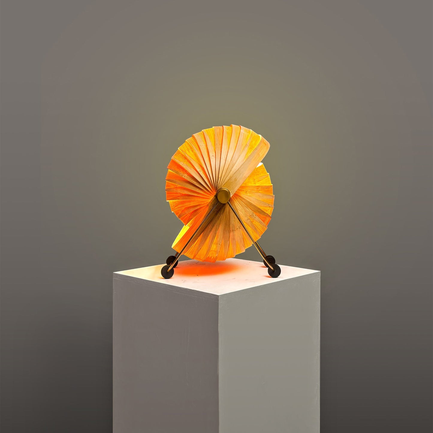 Product Image-2