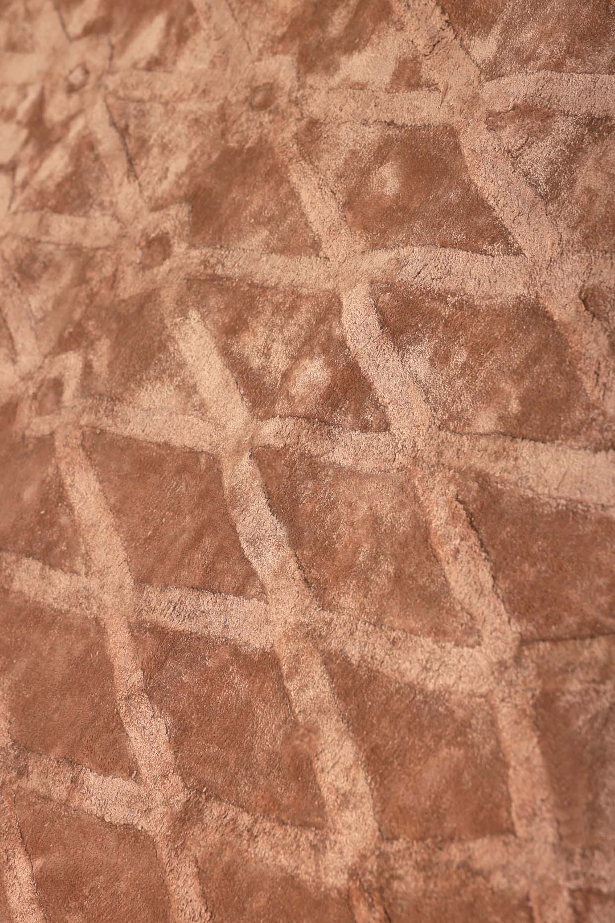 Terra