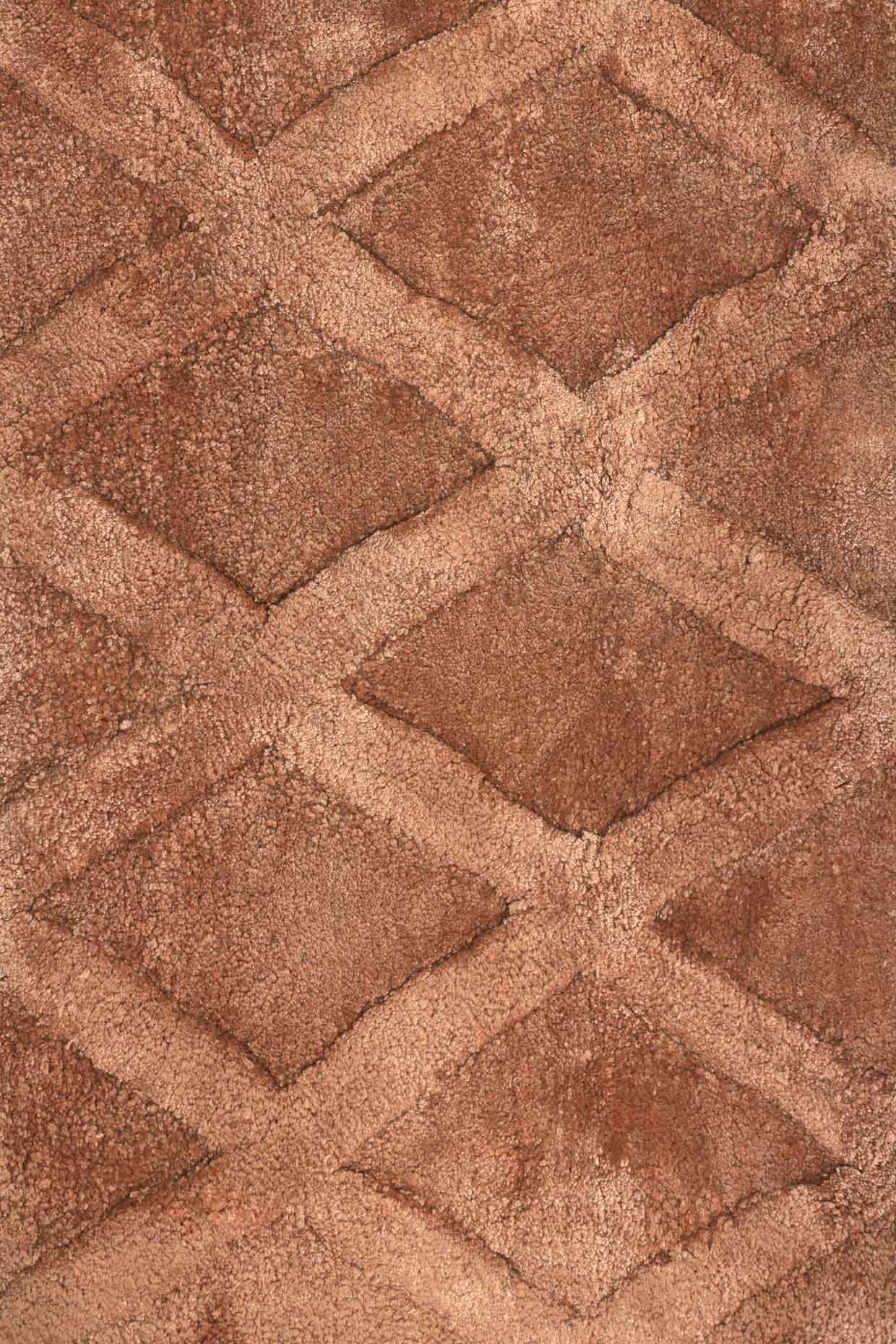 Terra