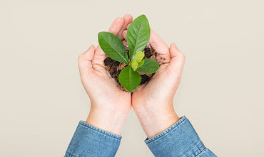 Eco Elegance