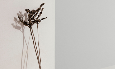 Pure & Minimal