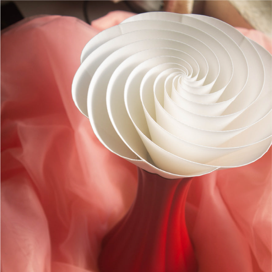 Product Image-2