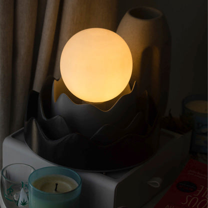 Product Image-2
