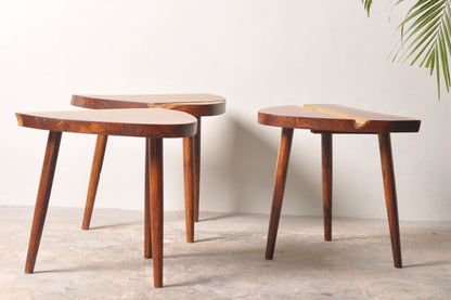 Buddy Side Table-Rosewood