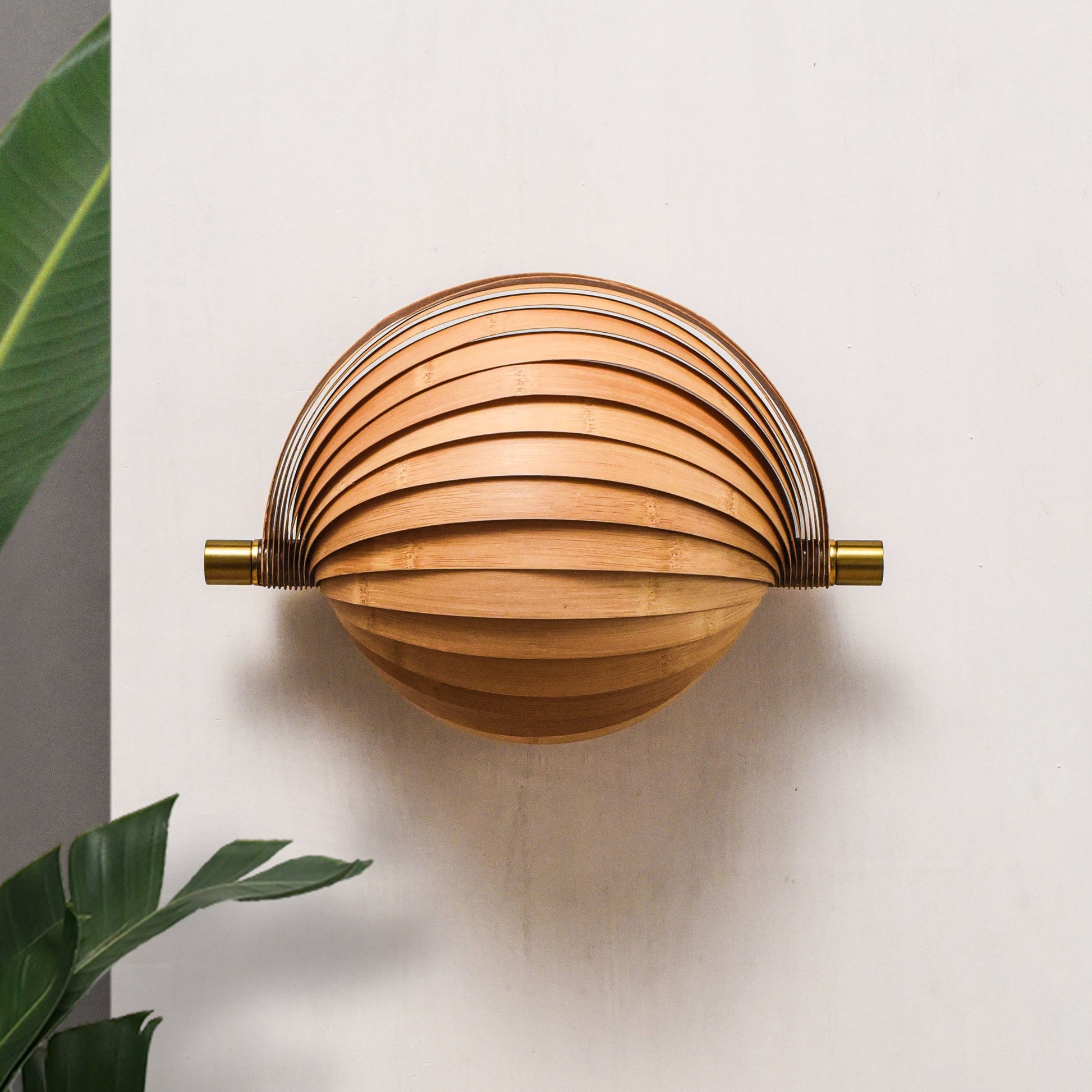 Product Image-2