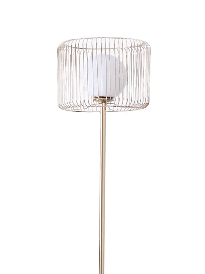 Product Image-3