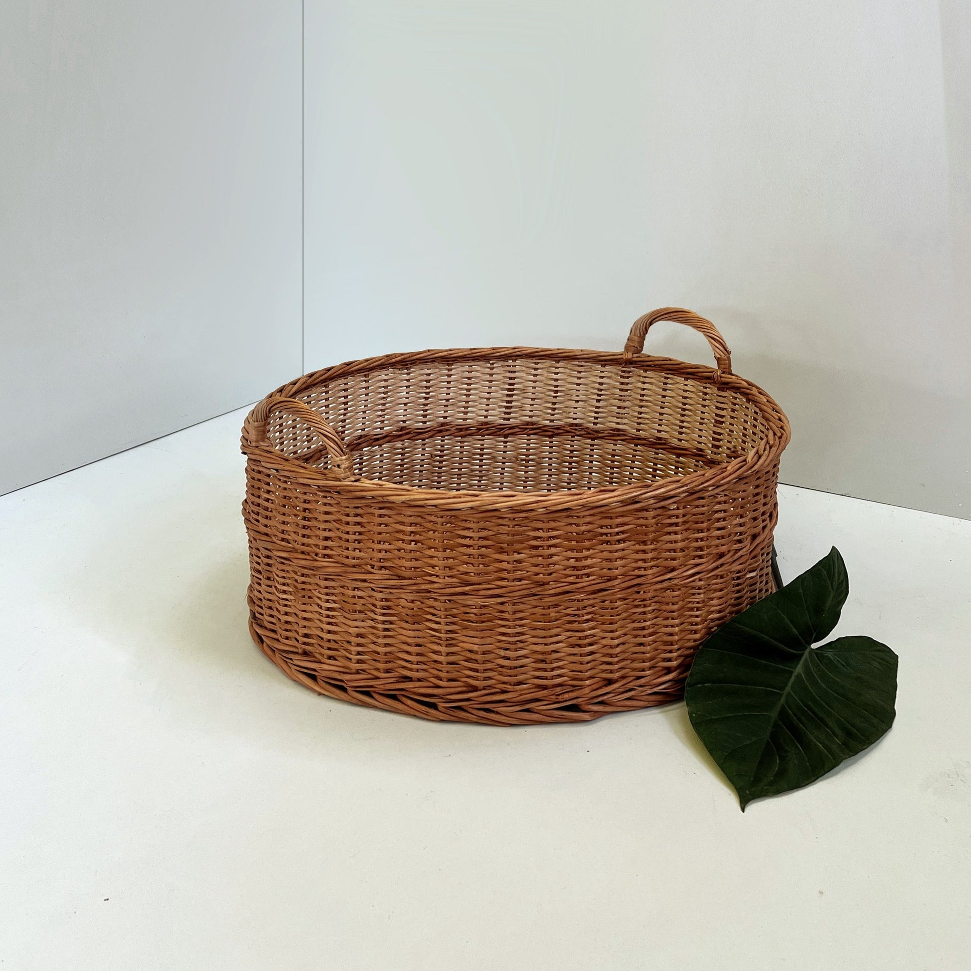 Product Image-2