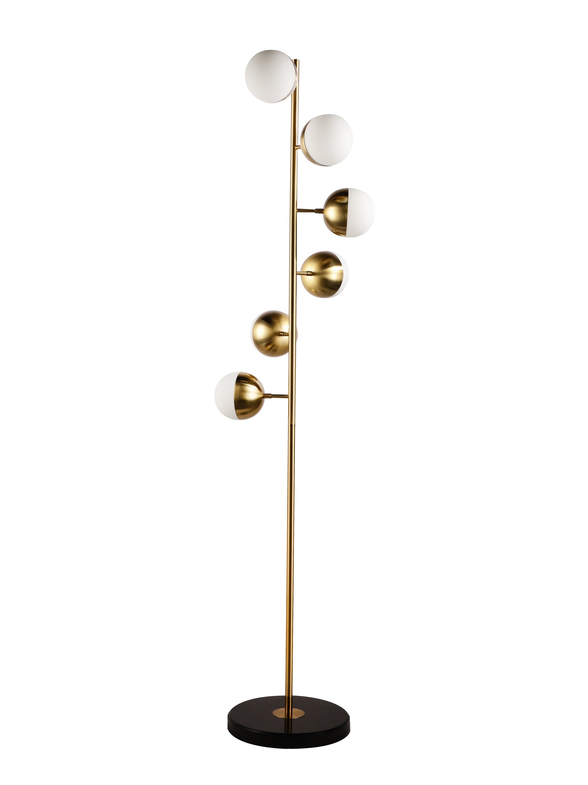 Product Image-4