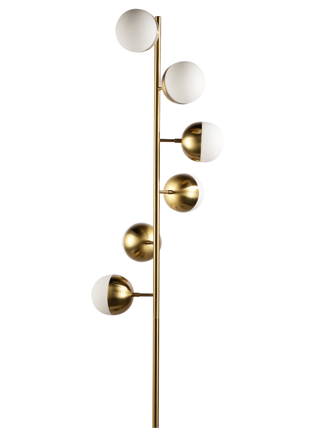 Product Image-2